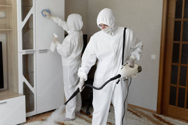 Best Residential Mold Removal  in Shell Ridge, CA
